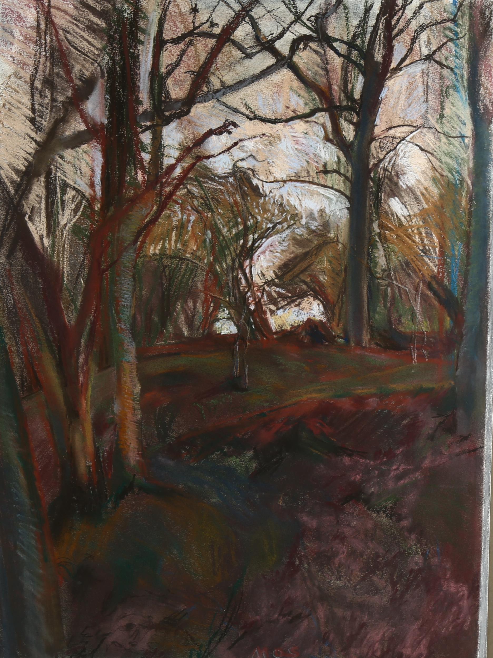Mary Shields, coloured pastels, looking into the wood, artist's label verso, 74cm x 56cm, framed - Image 2 of 4