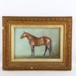 Coloured pastels, portrait of a horse, signed with monogram PAS, 18cm x 28cm, framed Image in good