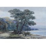 Williams Callow (1812 - 1908), watercolour, trees by a lake, 17cm x 25cm, framed Good condition