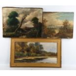 3 various 19th century oil paintings, largest 34cm x 46cm (3)