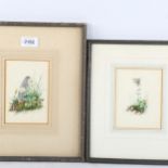 Edith Payne, 2 watercolours, botanical studies, 14cm x 9cm, framed A few fox marks at the edge