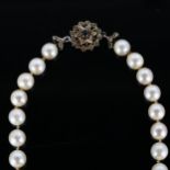 A late 20th century single-strand pearl necklace, with 18ct white gold sapphire clasp, pearl
