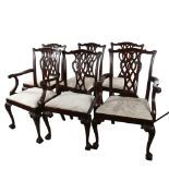 A set of 8 Chippendale style mahogany dining chairs, circa 1900 (6 + 2) on carved cabriole legs