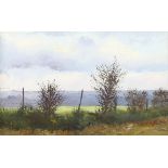 Pamela Derry (1932 - 2002), oil on board, landscape, 22cm x 34cm, framed Good condition