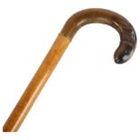 A 19th century phallic carved horn and Malacca walking stick All in good original condition