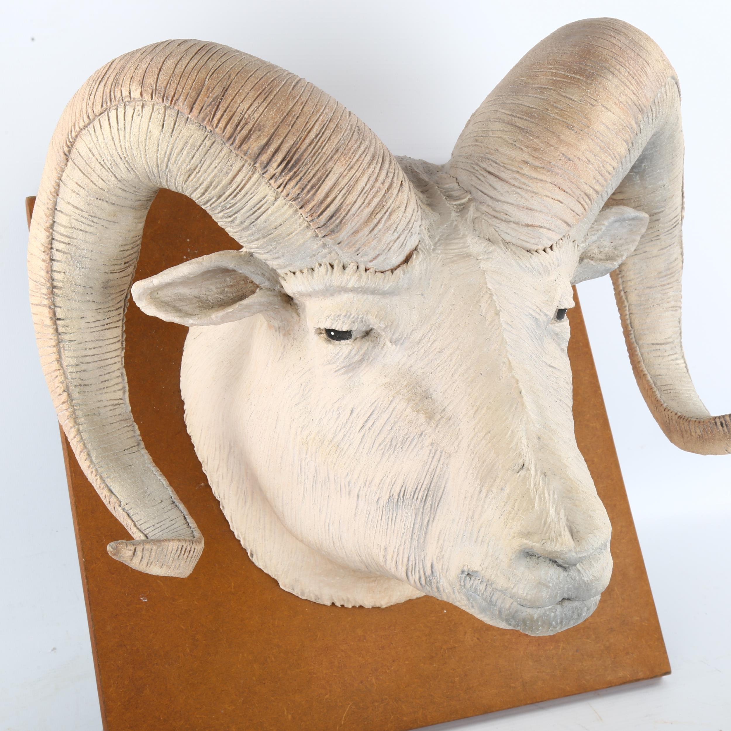 Jackie Summerfield ram's head ceramic sculpture, mounted on wood backing board, board dimensions - Bild 3 aus 3