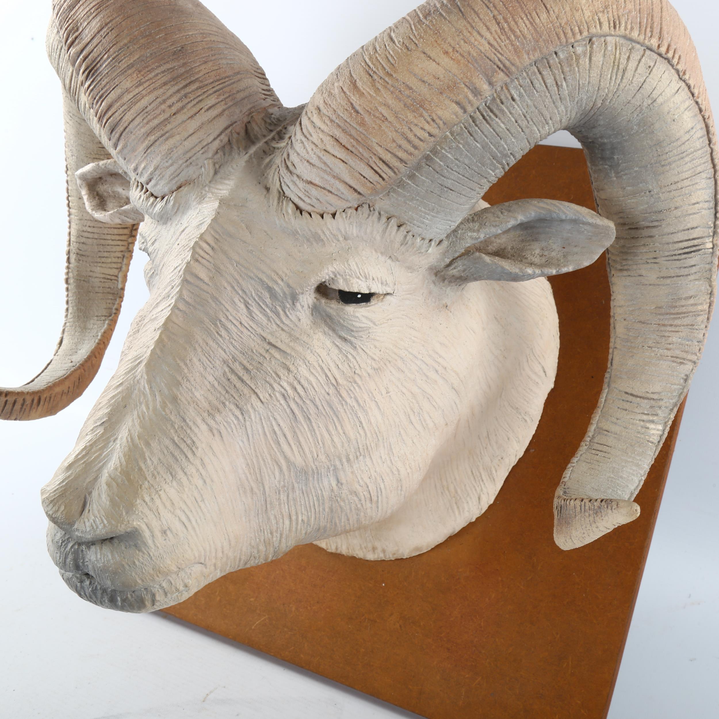 Jackie Summerfield ram's head ceramic sculpture, mounted on wood backing board, board dimensions - Bild 2 aus 3