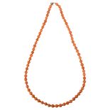 A single-strand coral bead necklace, bead diameter approx 6.8mm, necklace length 54cm, 31.8g Coral