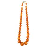 A single-strand butterscotch amber bead necklace, beads range from 15.5mm - 7mm, necklace length