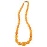 A single-strand graduated butterscotch amber bead necklace, beads ranging from 29.5mm - 15.5mm,