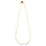 A late 20th century single-strand cultured pearl bead necklace, with 9ct clasp, bead diameter 6.5mm,