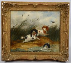 After George Armfield, Spaniels and ducks, 19th century oil on canvas, 25cm x 30cm, framed Canvas