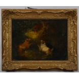 Attributed to George Armfield, Terriers with a fox, signed, 23cm x 30cm, framed Good condition, no