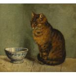M Mason, portrait of a cat, signed and dated 1894, 32cm x 35cm, framed Untouched condition, slightly
