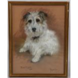 Marjorie Cox, portrait of a Terrier, Raffles, coloured pastels, signed and dated 1998, 41cm x