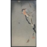Ohara Koson (1877-1945), 'Spider and Bull-Headed Shrike', woodblock print, published early 20th