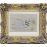 James Stinton (1870-1961), Mallards in flight, watercolour and bodycolour, signed, 14cm x 21cm