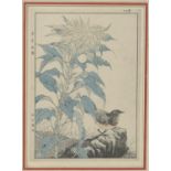 Imao Keinen (1845-1923) 'Joseph?s Coat, Grey Ouzel', woodblock print, published 1891, 33cm x 24cm;