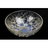 Lalique Gui bowl, moulded with mistletoe and berries and tinted with blue opalescence acid etched