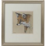 Robert Louden (20th Century), Study of a fox, watercolour over pencil, signed, 21.5cm x 20cm