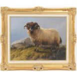 Charles 'Sheep' Jones (1836-92), Steadfast, study of a highland ram, oil painting, signed with a