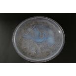Pierre D'Avesn, bird of paradise, large moulded glass dish, circa 1930s, tinted with blue