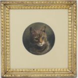 Manner of William Huggins (1820-84), Study of a tabby cat, oil on board en rotunde, 16cm diameter