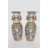 Pair of Cantonese famille verte vases, late 19th Century, slender ovoid form applied salamanders and