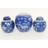 Chinese prunus patterned blue and white ginger jar, late 19th Century, the base painted with a