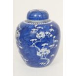 Chinese blue and white prunus pattern ginger jar and cover, 19th Century, double blue circle mark,