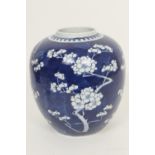 Large Chinese blue and white ginger jar, 18th or 19th Century, decorated with prunus blossom against