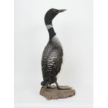 Taxidermy, Great Northern Diver, height 84cm