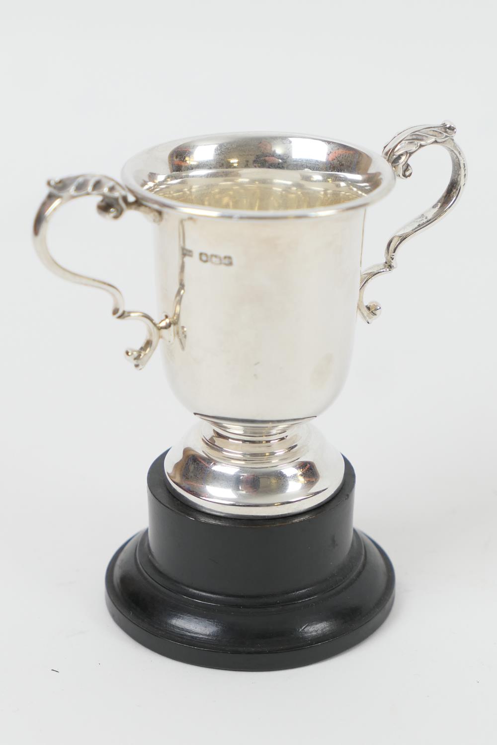 George V silver small trophy cup, by Walker & Hall, Sheffield 1936, twin handled with U-shaped bowl,
