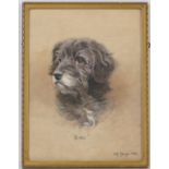 Alfred Grenfell Haigh (1870-1963), Portrait of Siki (pet dog), watercolour, signed and dated 1936,