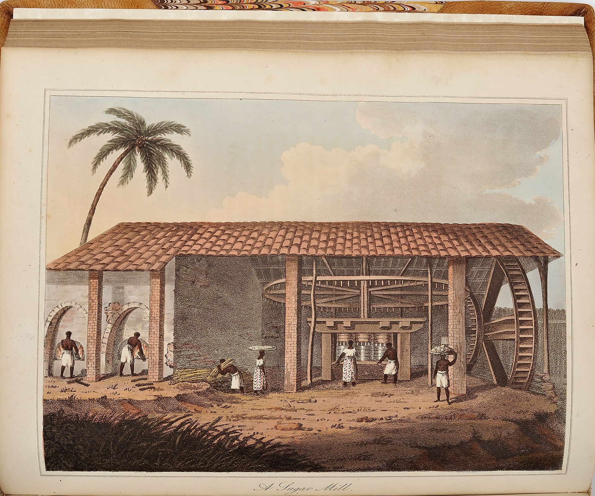 KOSTER, Henry.- Travels in Brazil.- London: Longman, Hurst, Rees, Orme and Brown, 1816.- IX, [3], 50 - Image 5 of 5
