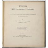 PENFOLD, Jane Wallas.- Madeira flowers, fruits, and ferns: a selection of botanical productions of t