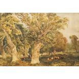 Late 19th Century British School - Watercolour - Herding cattle through woodland, 18ins x 28ins,