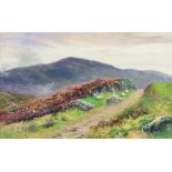 Daniel Sherrin (1868-1940) - Oil painting - Upland landscape with track to foreground, signed,