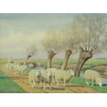 William Sidney Cooper (1854-1927) - Watercolour - "In the Canterbury Meadows" - Flock of sheep