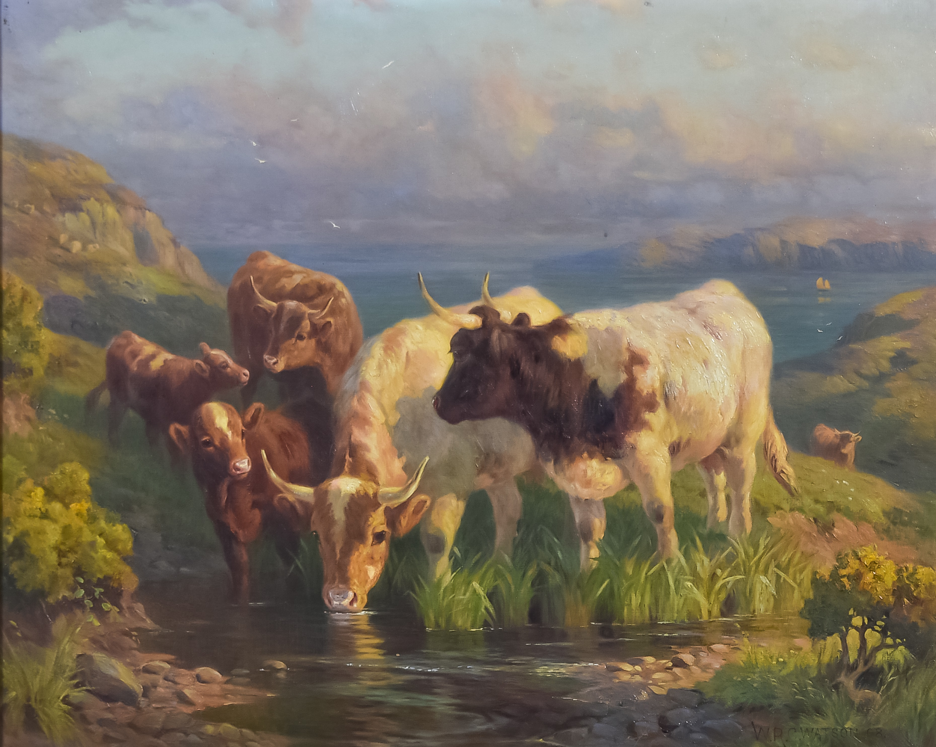 William R. C. Watson (fl. 1890-1900) - Oil painting - "On the Cliffs Near Land's End" - cattle