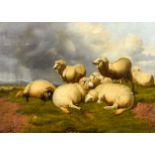 Thomas Sidney Cooper (1803-1902) - Oil painting - "A Group of Sheep" - signed and dated 1869, canvas