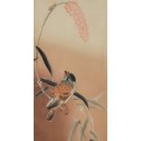 Attributed to Koson O'Hara (1877-1945) - Woodcut in colours - Bird on a branch watching a cricket,