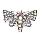 A Gem Set Moth Brooch, Late 19th/Early 20th Century, yellow metal set with small diamonds,