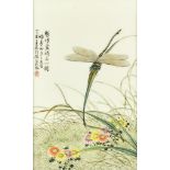 Three Chinese Porcelain Plaques, 20th Century, each enamelled in colours with insects and flowers