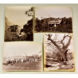 A Collection of Albumen Prints of Australian Interest by Henry King (1855-1923), Late 19th