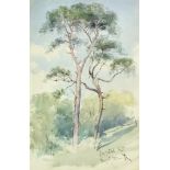 Charles Rowbotham (1826-1904) - Watercolour - "Firs near the Spaniards, Hampstead Heath", signed and