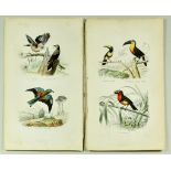 Edouard Travies (1809- circa 1869) - Hand coloured lithographs - A collection of approximately