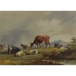 William Henry Crome (1806-1873) - Watercolour - Landscape with sheep and cattle grazing, 4ins x 5.