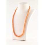 CORAL BEAD NECKLACE with 9ct white gold clasp. (In need of restringing)