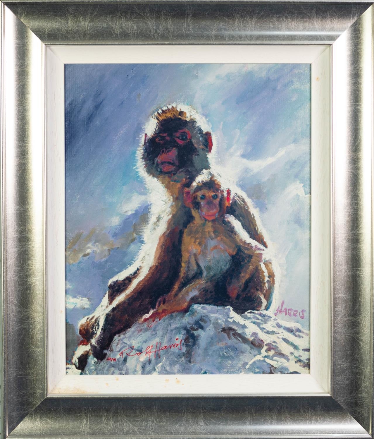 ROLF HARRIS (b. 1930) ARTIST SIGNED LIMITED EDITION COLOUR PRINT ON DELUXE CANVAS ?Backlit - Image 2 of 2